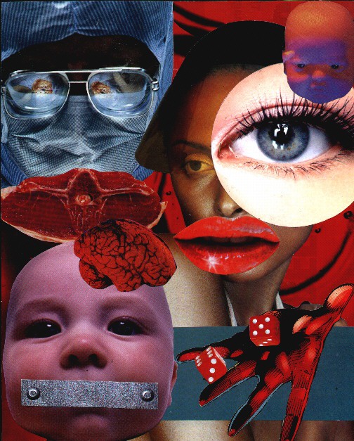 Growing Displeasure: Birth Control | The Collage Art of Joel Lambeth